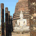 Formation langues, Formation langues asiatiques