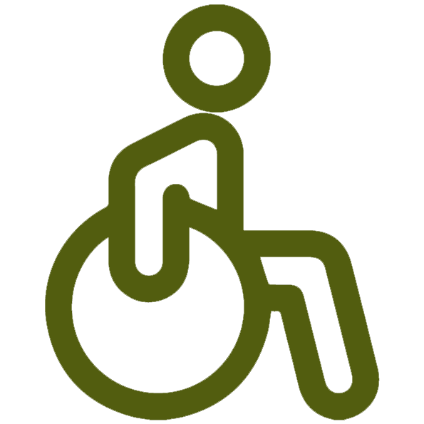 handicap