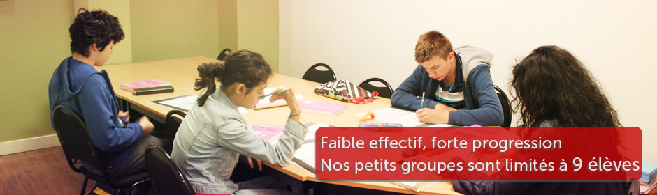 Institut Japonais